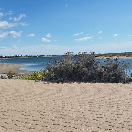 Joli Appartement Avec Grande Et Belle Terrasse, Au Pied De La Plage Du Grazel! Gruissan Exteriör bild