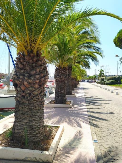 Joli Appartement Avec Grande Et Belle Terrasse, Au Pied De La Plage Du Grazel! Gruissan Exteriör bild